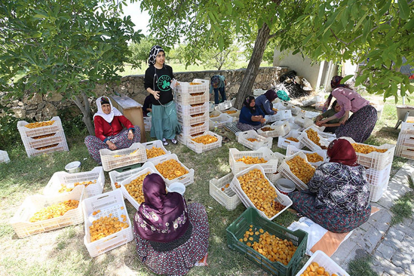 Malatya'da yevmiye ücretleri belli oldu!