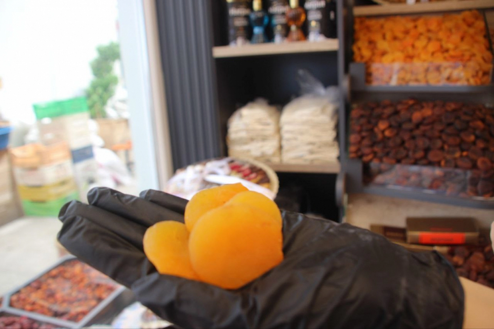 Malatya Kayısısı Kasaya Milyonlar Kazandırdı!