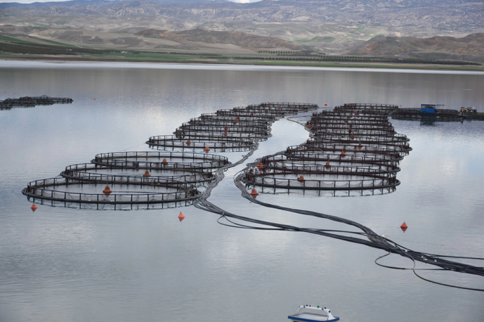 Malatya'da Kapıkaya Barajı 10 yıllığına kiralanacak