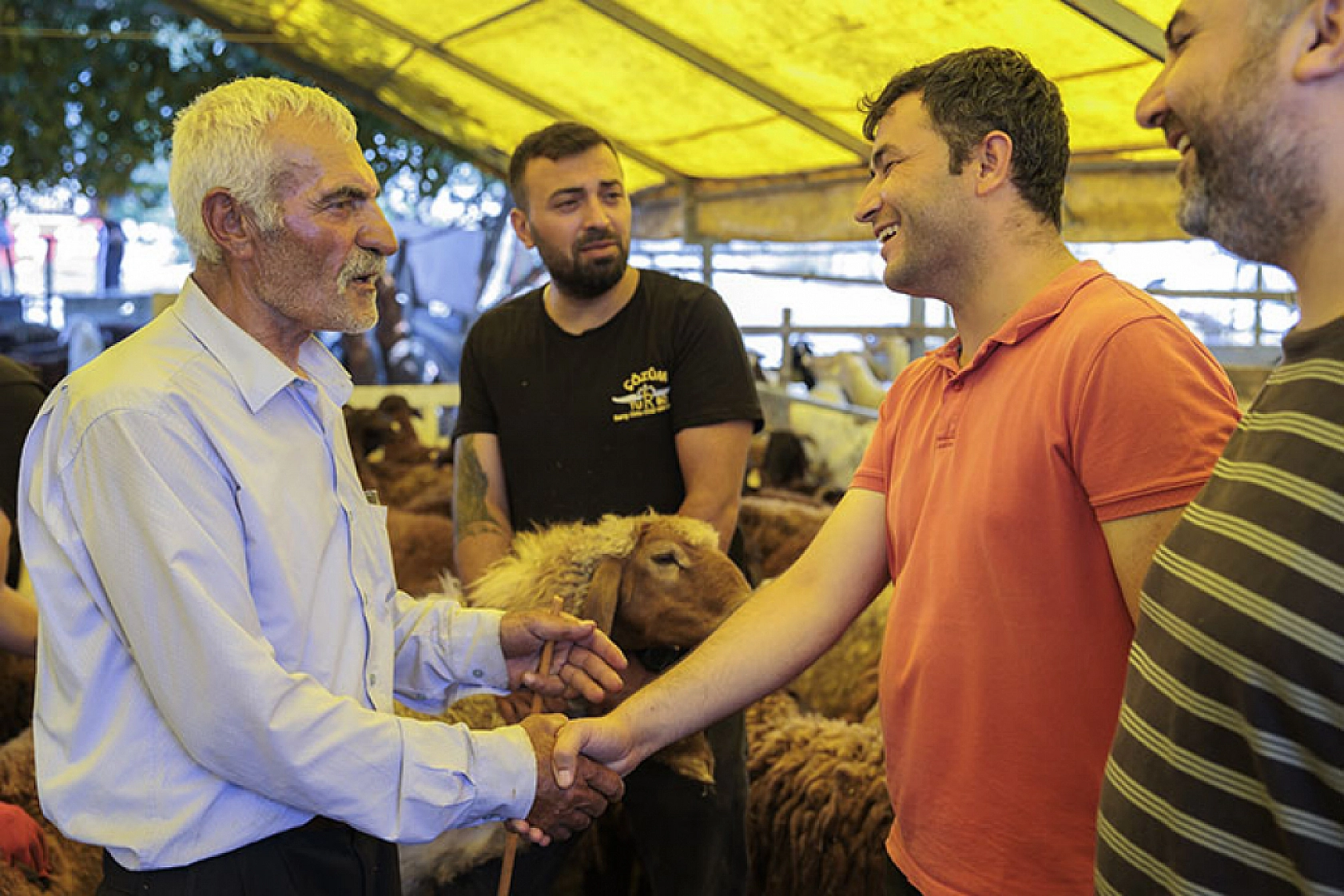 Kurban vekaleti verirken bu hatalara düşmeyin! Vekaletle kurban hakkında en çok sorulan 10 soru
