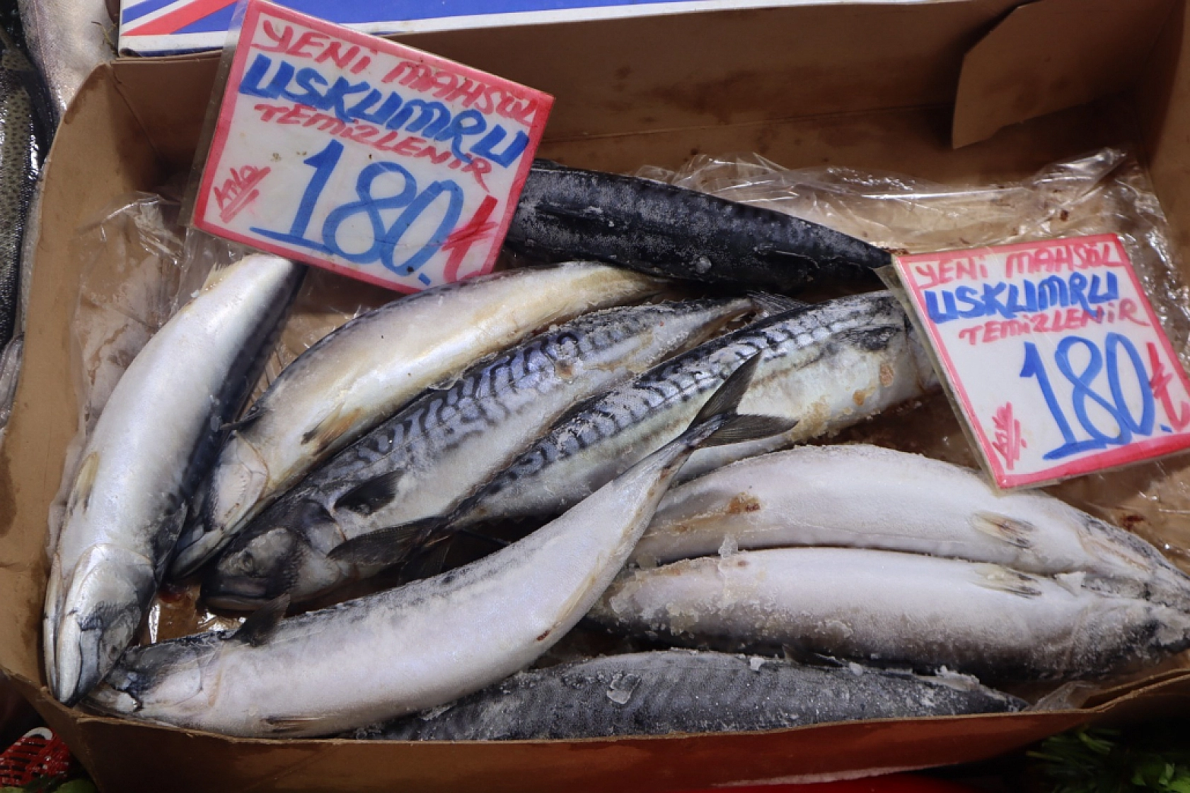 Balık Pazarlarında Fiyat Artışı! En Ucuz Balık Hangisi? İşte Detaylar...