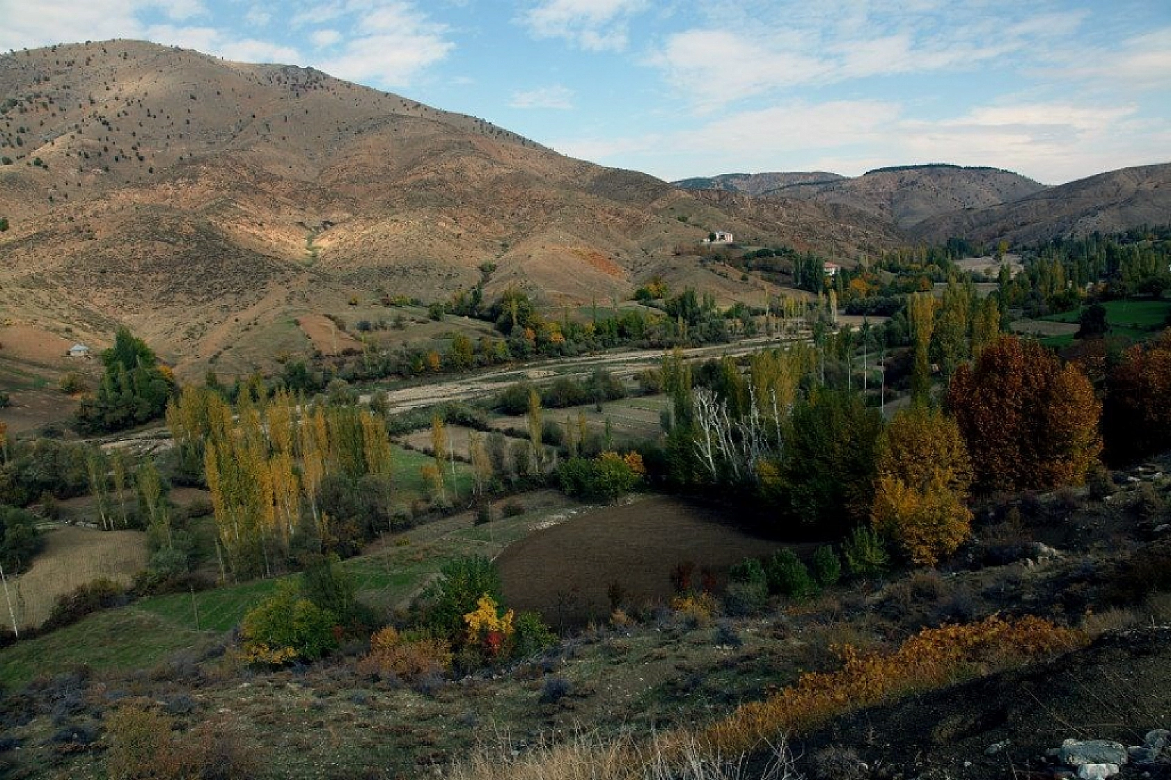 Malatya'da 57 sahada sürdürülüyor... Kayısıyı madenler kuruttu! 'Zehirlenmek istemiyoruz'