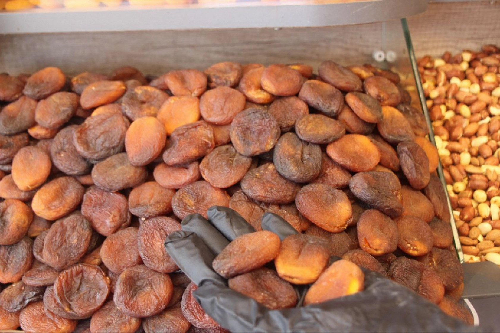 Malatya Kayısısı Kasaya Milyonlar Kazandırdı!