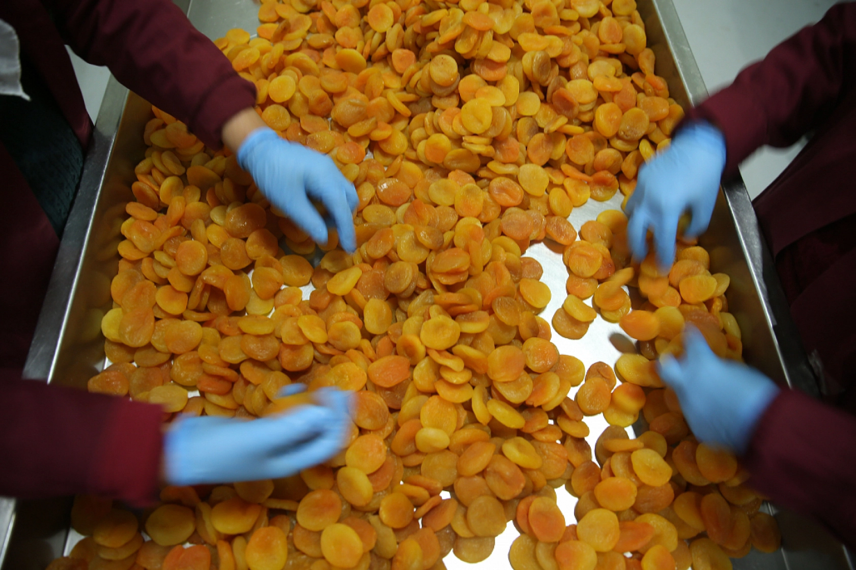 115 ülkeye ihraç edildi