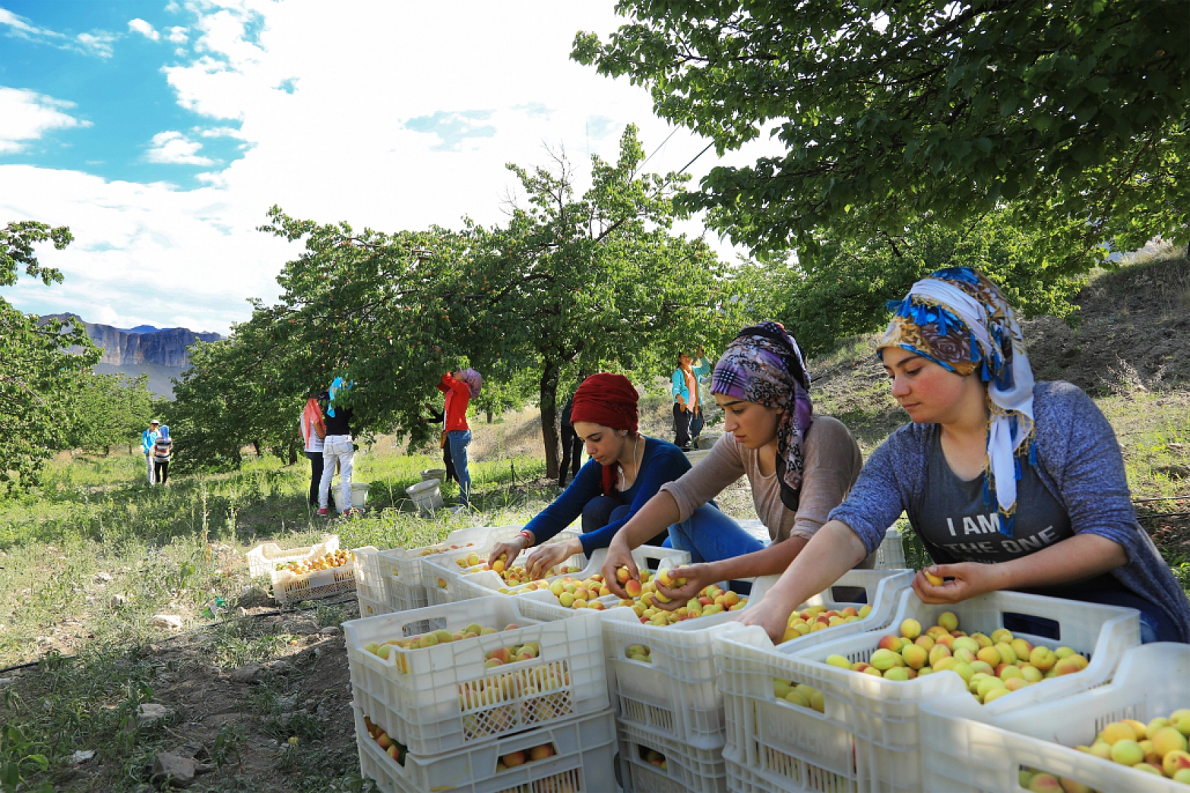 Malatya'da yevmiye ücretleri belli oldu!