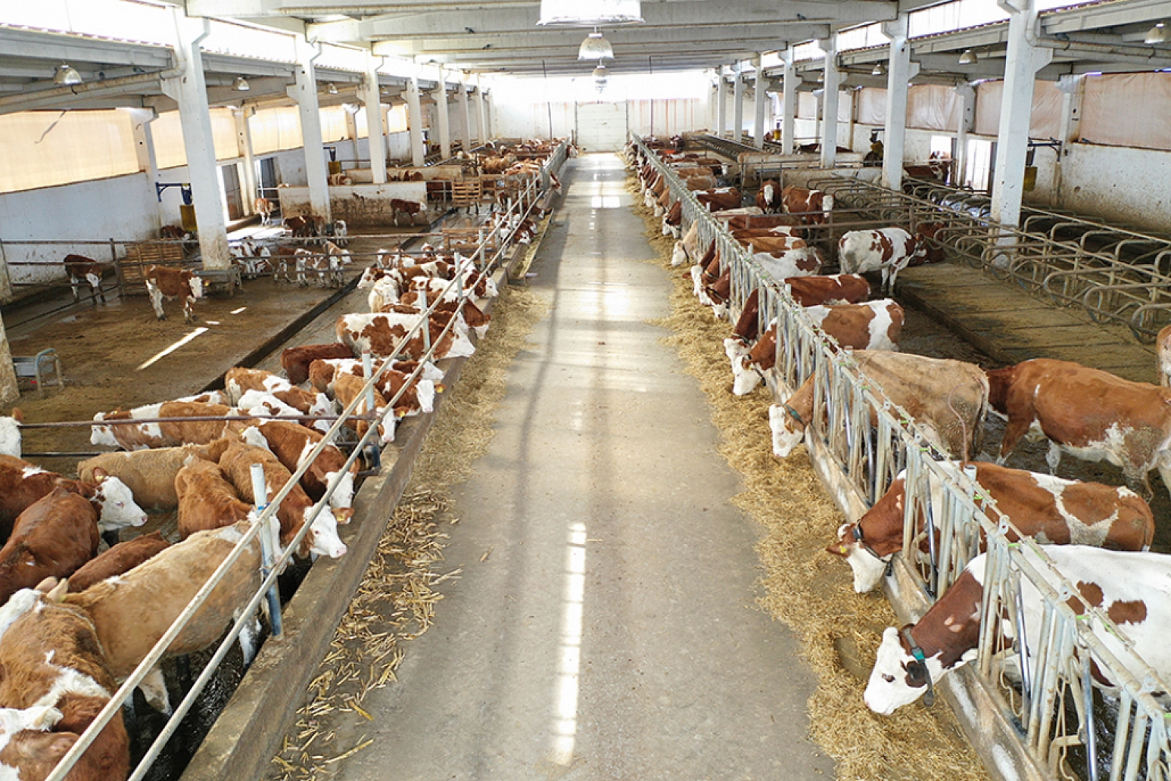 Malatya'da Üçüncü Çağrı Proje Başvuruları Başladı