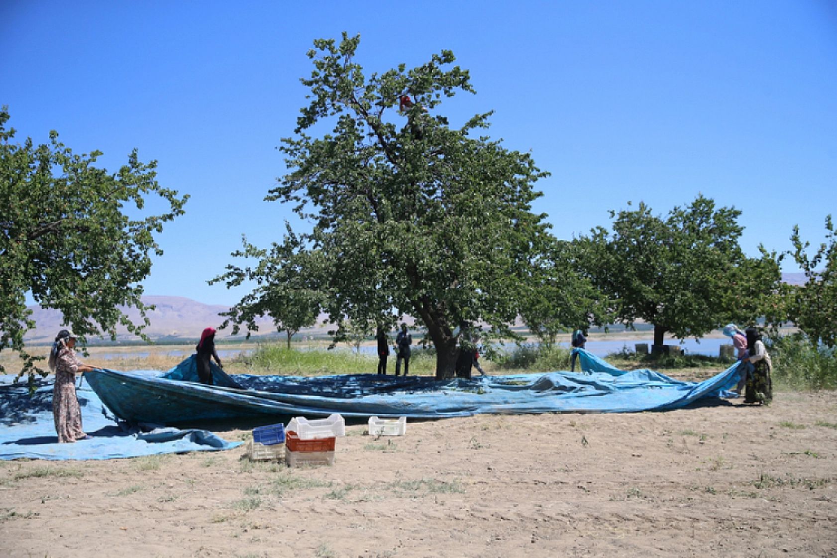 Malatya'da yevmiye ücretleri belli oldu!