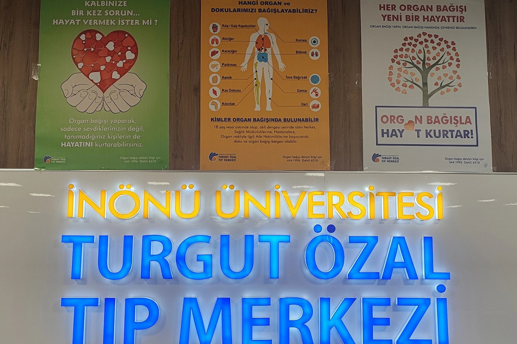 Prof. Dr. Pişkin: 35 bin hasta nakil bekliyor
