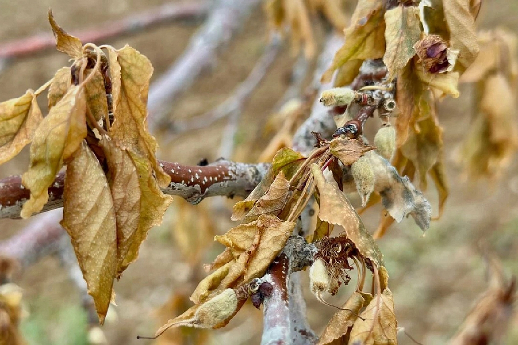 Bakan müjdeyi verdi: 11,6 milyar TL hasar tazminatı ödendi…