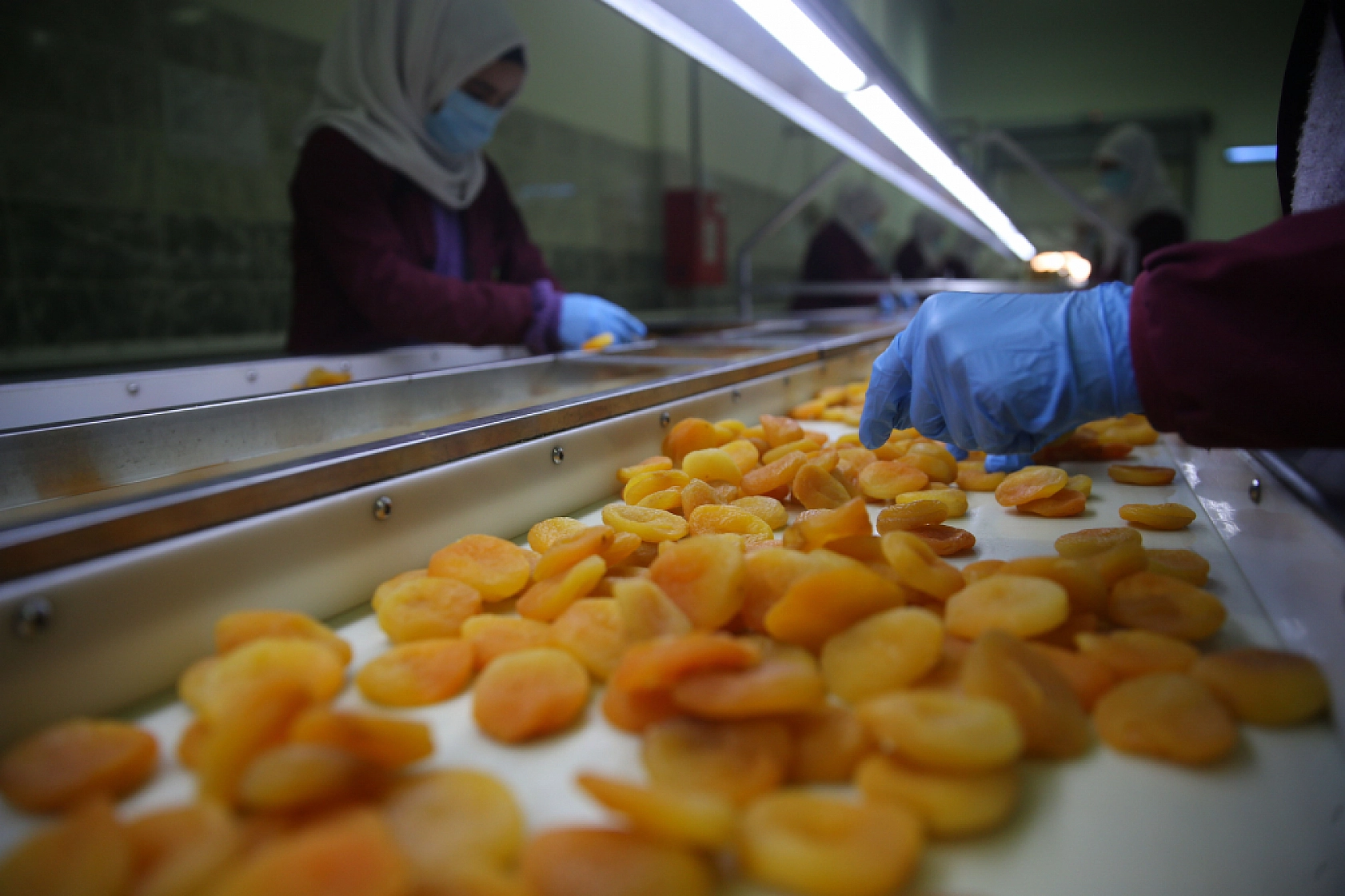 115 ülkeye ihraç edildi