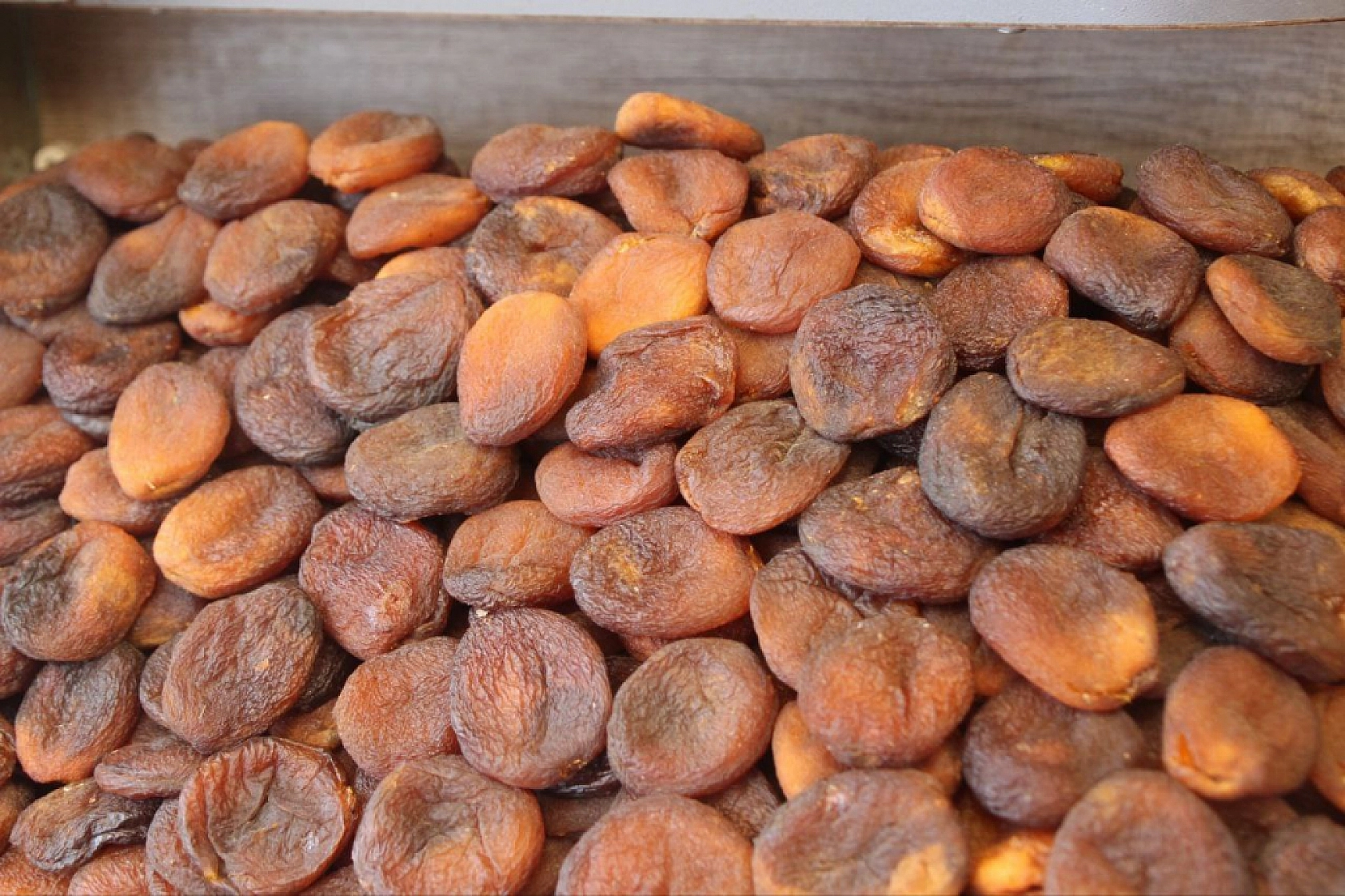 Malatya Kayısısı Kasaya Milyonlar Kazandırdı!