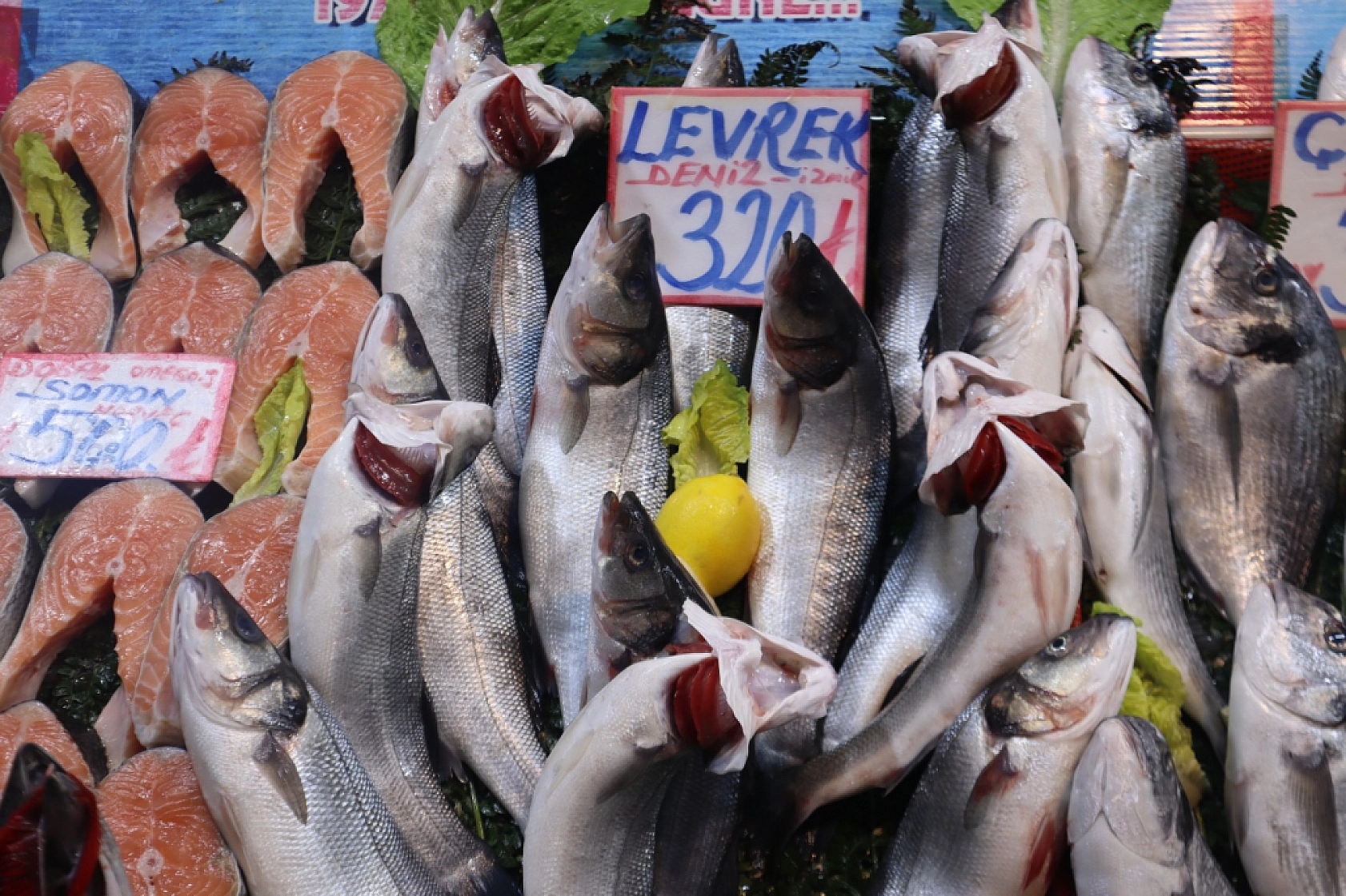 Balık Pazarlarında Fiyat Artışı! En Ucuz Balık Hangisi? İşte Detaylar...