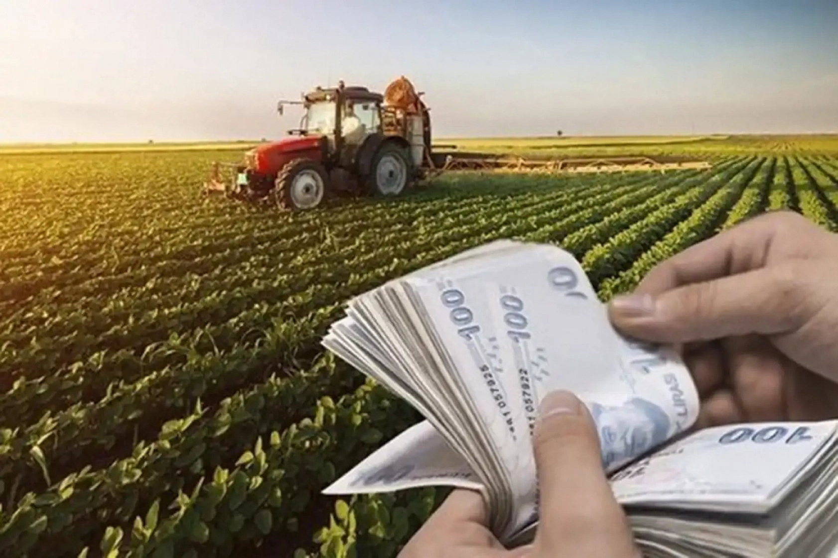 Malatyalılar Müjde! Hesaplara 476 Milyon TL Destek Yatırıldı