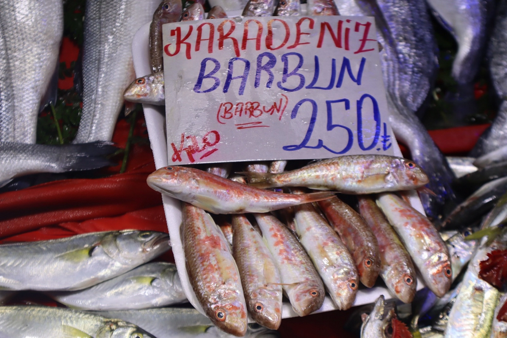 Balık Pazarlarında Fiyat Artışı! En Ucuz Balık Hangisi? İşte Detaylar...