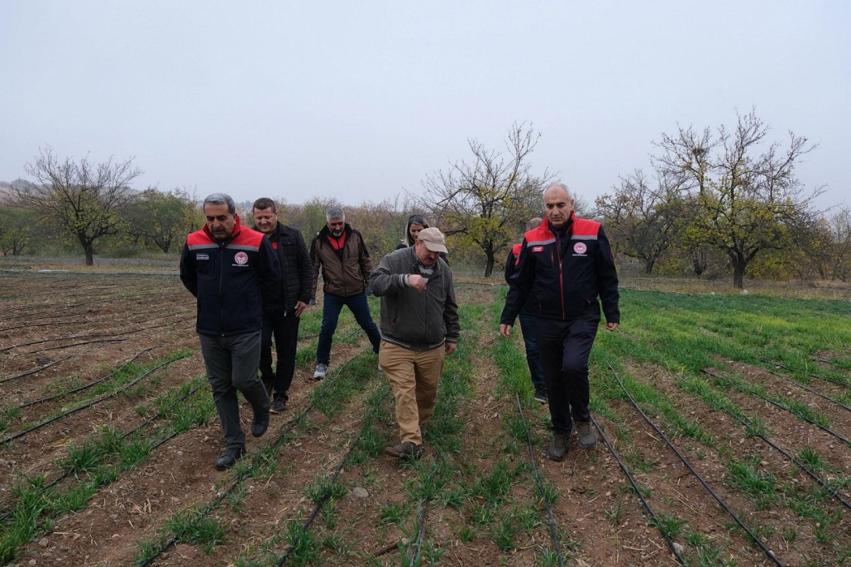 Malatya'da 2017 yılından 3 dekarlık alana ekti! Üretimi her geçen yıl bereketleniyor…