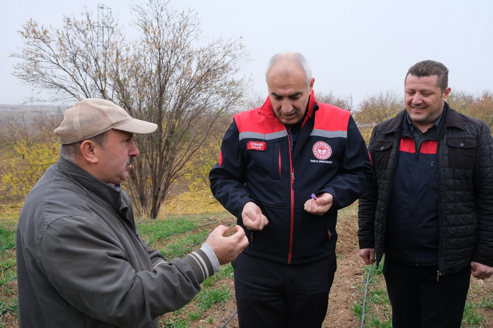Malatya'da 2017 yılından 3 dekarlık alana ekti! Üretimi her geçen yıl bereketleniyor…