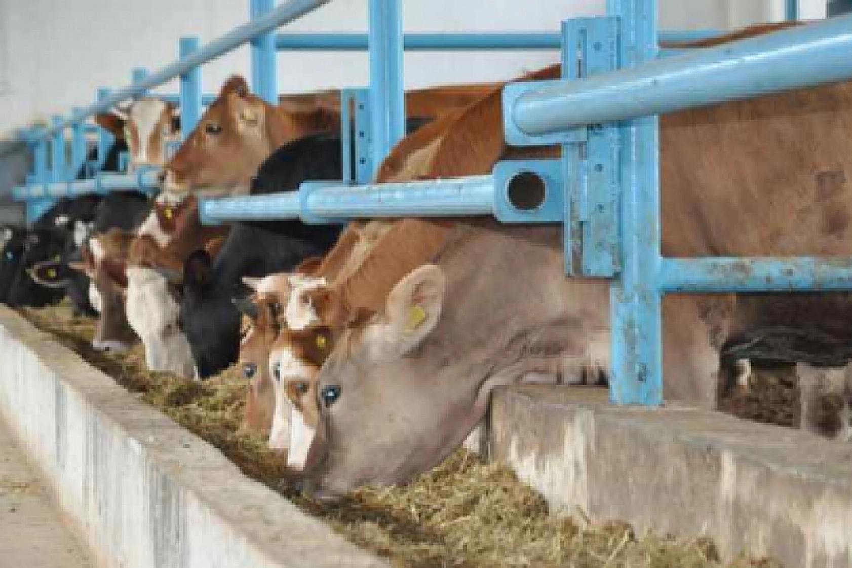 Malatya'ya 180 Milyon TL'lik Yatırım: OTB İle 2 Bin 500 Kişiye İş Kapısı!