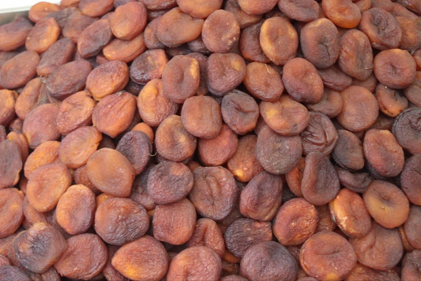 Malatya Kayısısı Kasaya Milyonlar Kazandırdı!