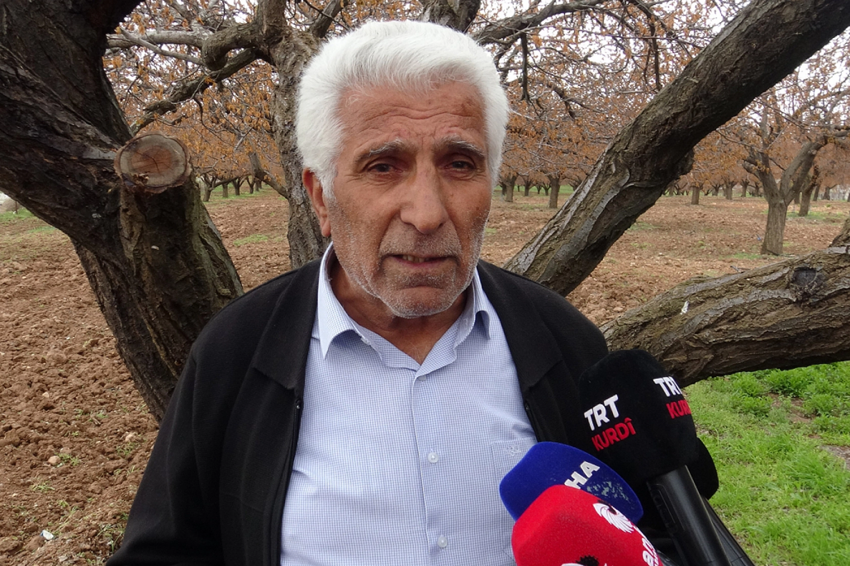 Kayısı üreticilerinden destek çağrısı: Zarar bu yılla sınırlı değil