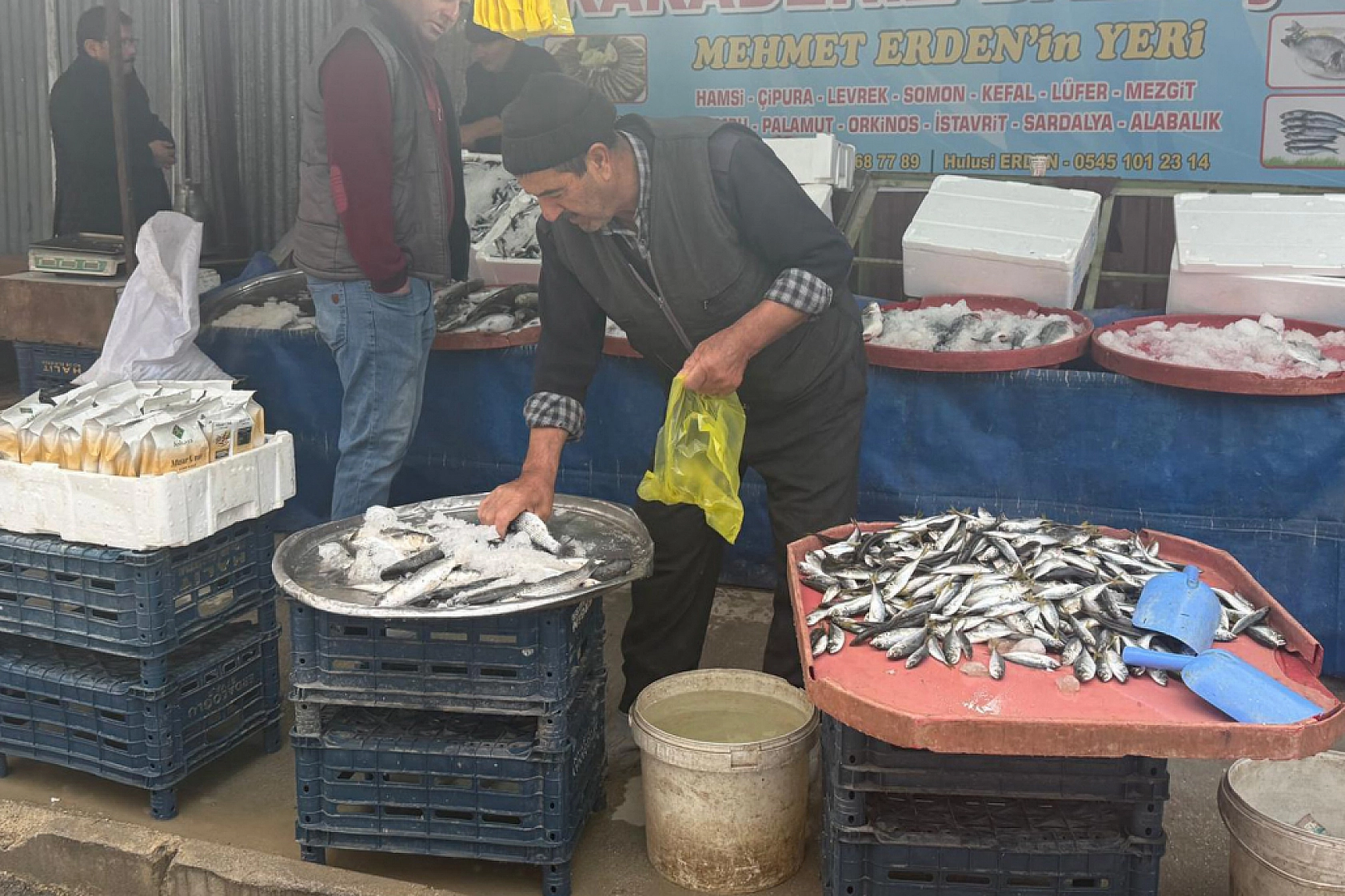 Balığa ilgi arttı: Peki balık fiyatları nasıl? İşte en çok satılan balıklar ve fiyatları...