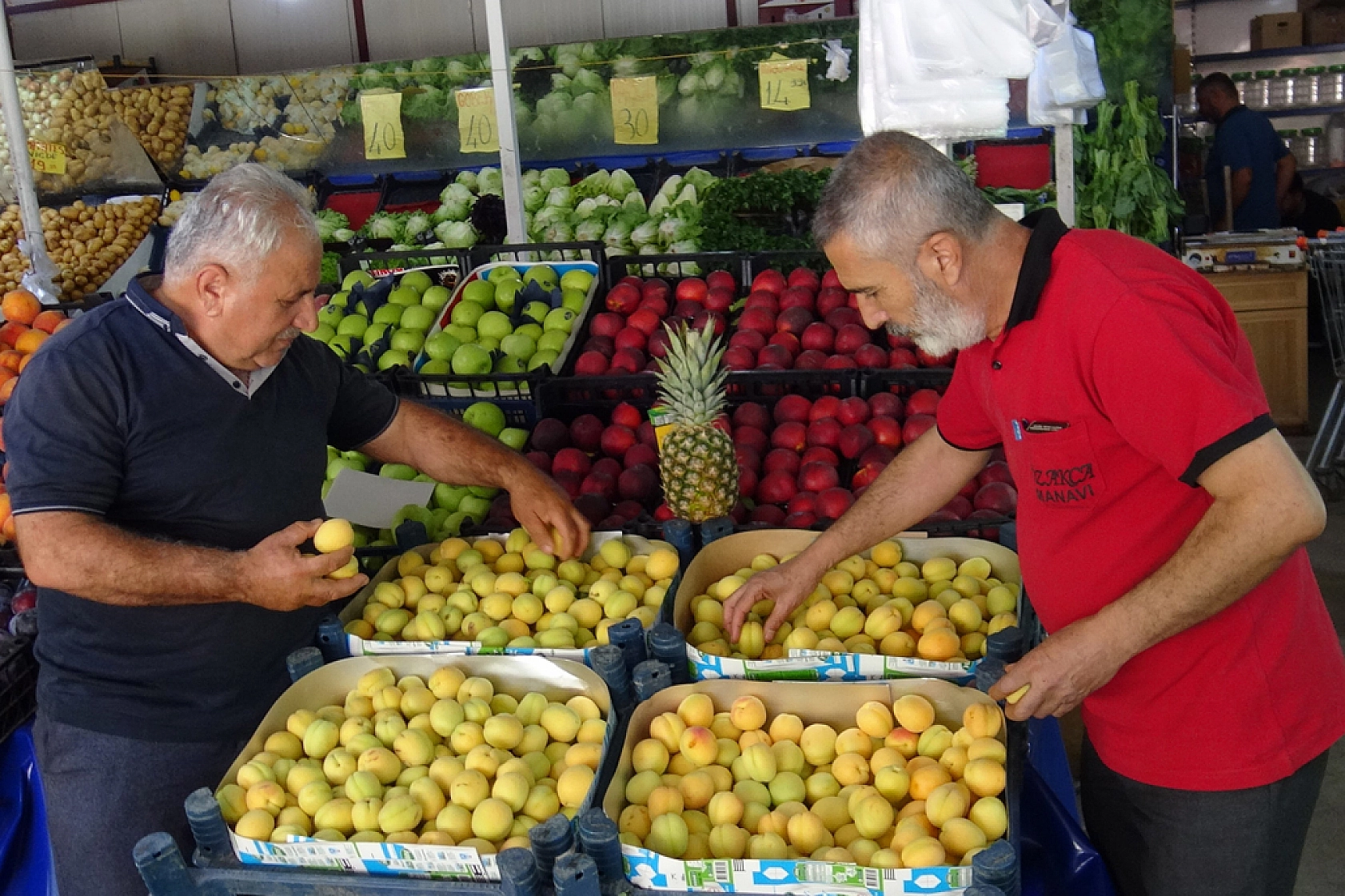 Malatya'da kayısı lüks tüketime dönüştü! Fiyatı etle yarışıyor…!