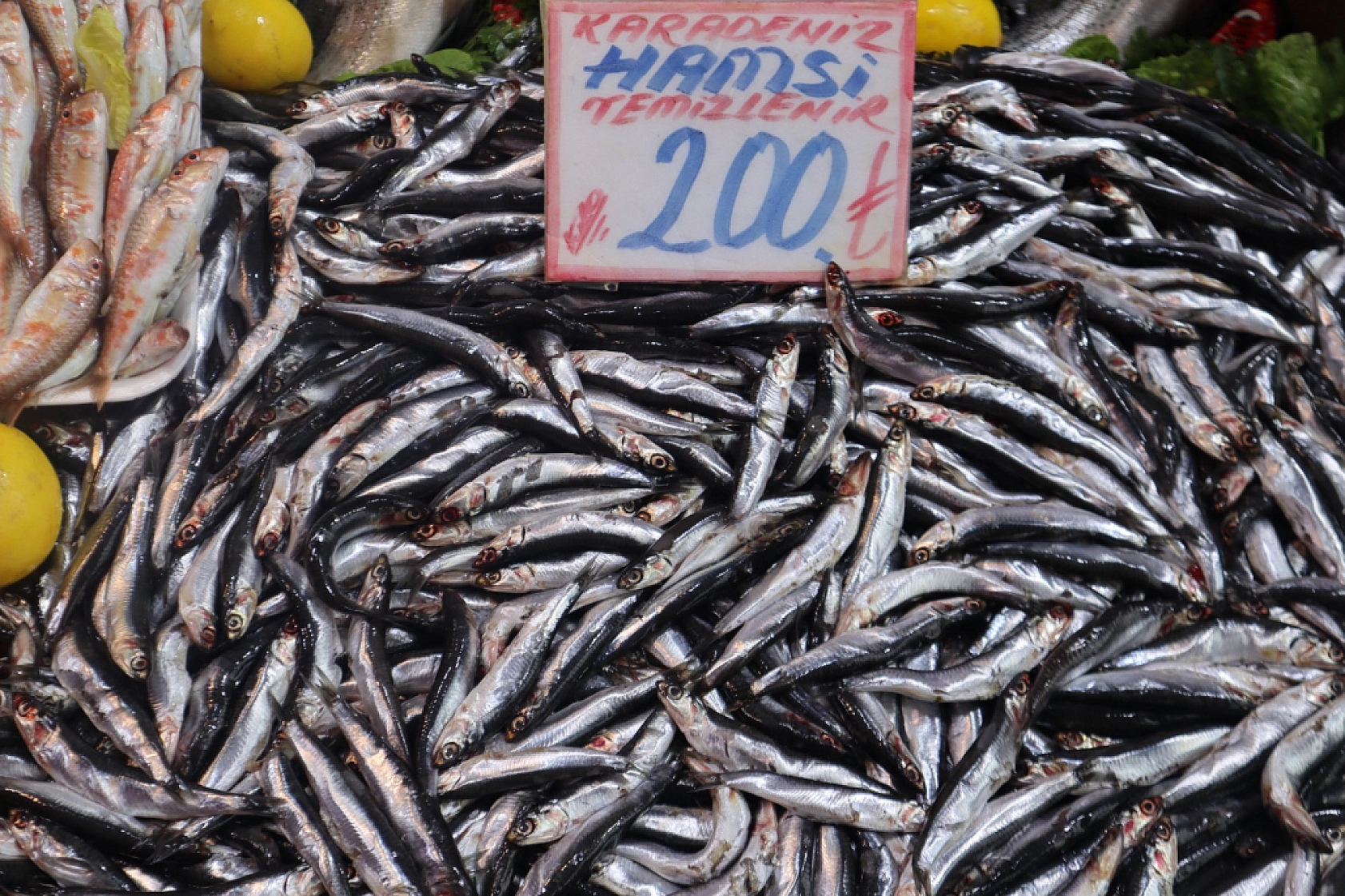 Balık Pazarlarında Fiyat Artışı! En Ucuz Balık Hangisi? İşte Detaylar...