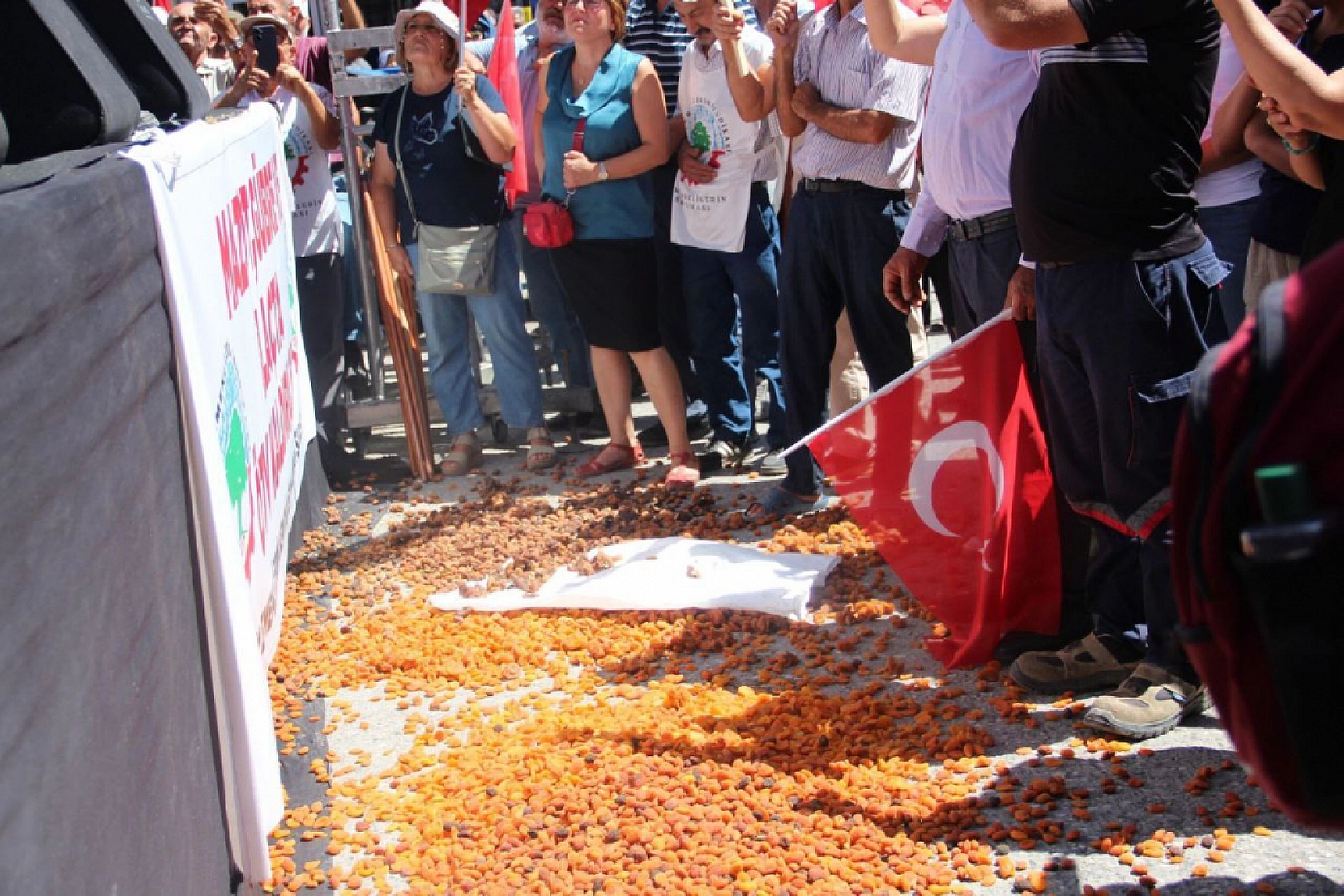 Malatya Kayısısı Çığlık Atmaya Devam Ediyor: Kayısı Üreticileri Ayakta!