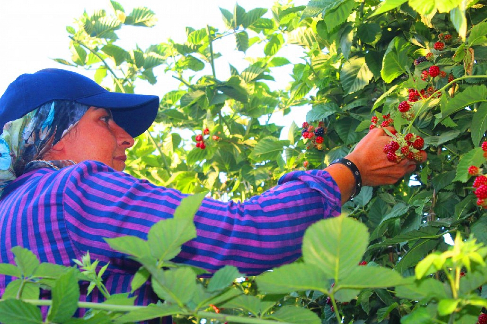 Taleplere yetişemiyoruz