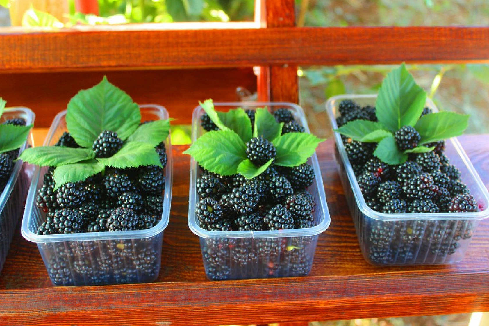 Taleplere yetişemiyoruz