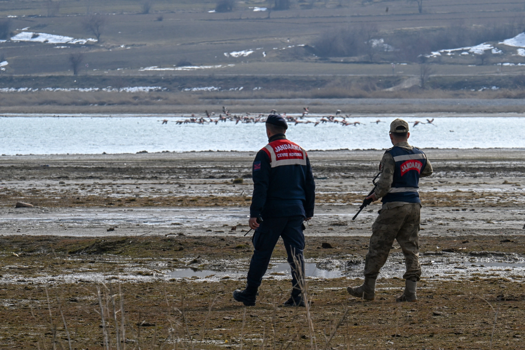 Jandarma göçmen kuş nöbetinde