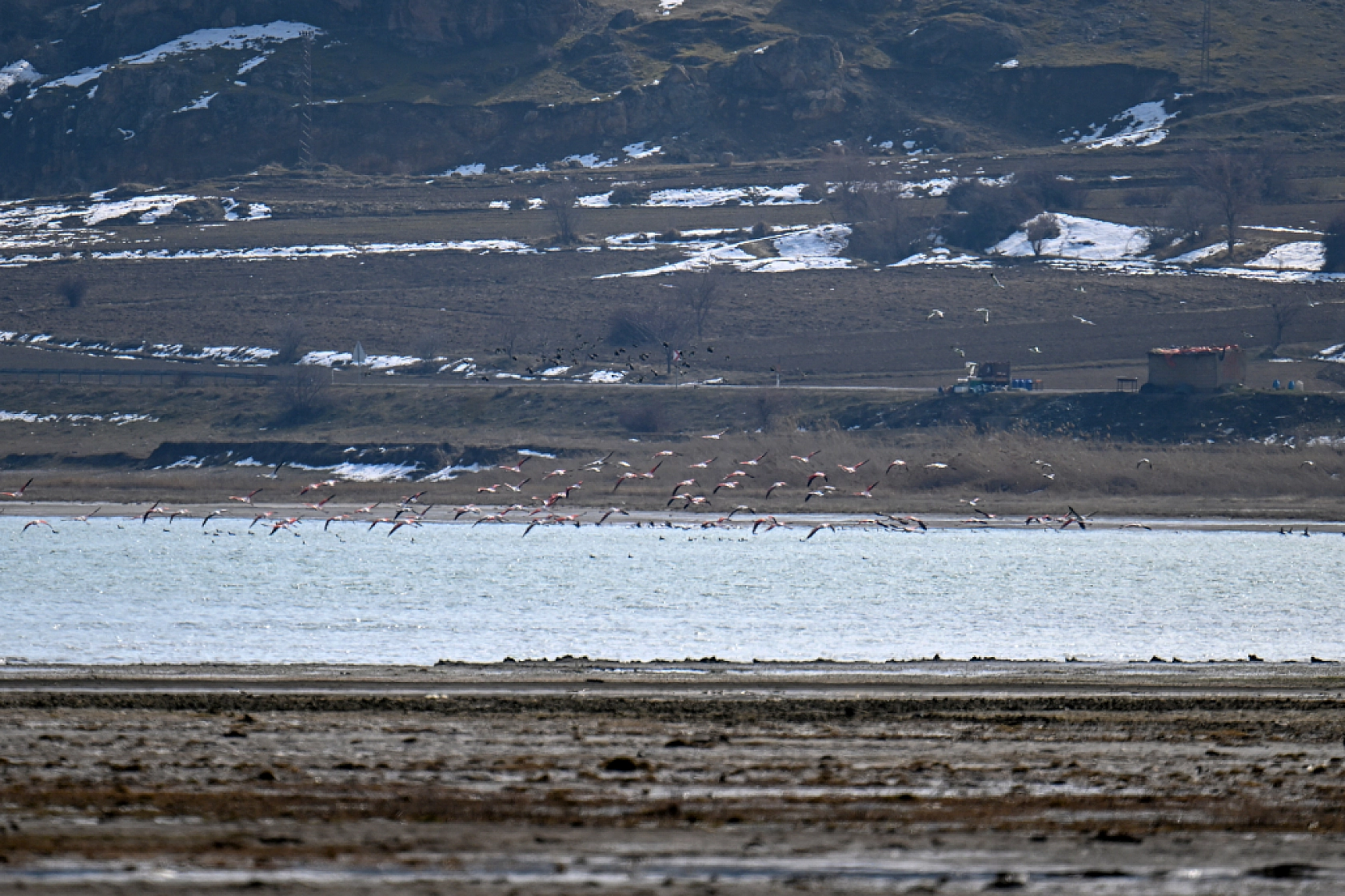 Jandarma göçmen kuş nöbetinde