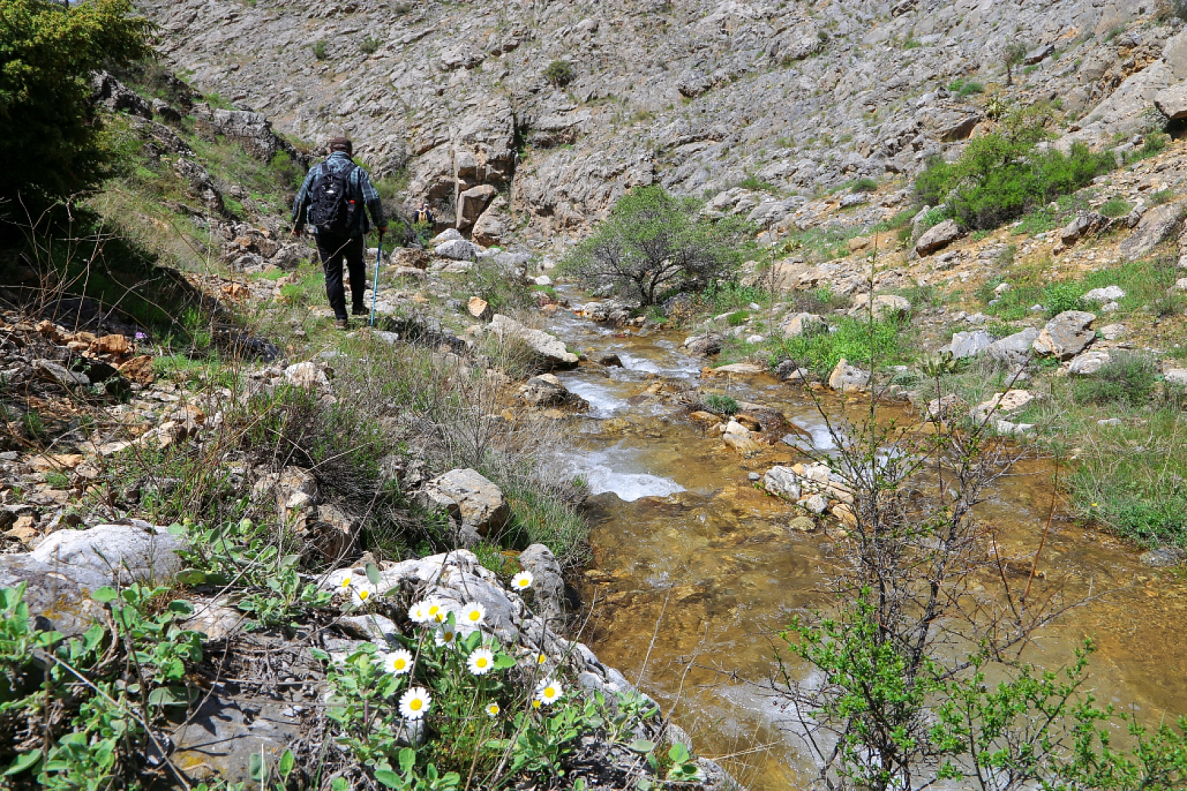 Malatya'da doğaseverlerin rotası belli oldu! 'Beydağı etekleri'