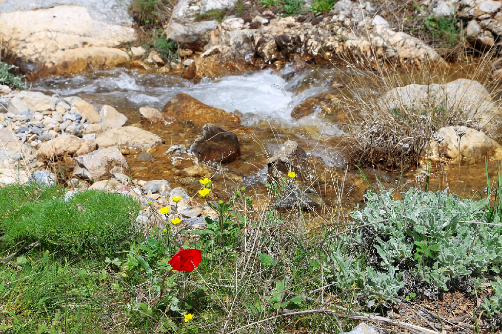 Malatya'da doğaseverlerin rotası belli oldu! 'Beydağı etekleri'