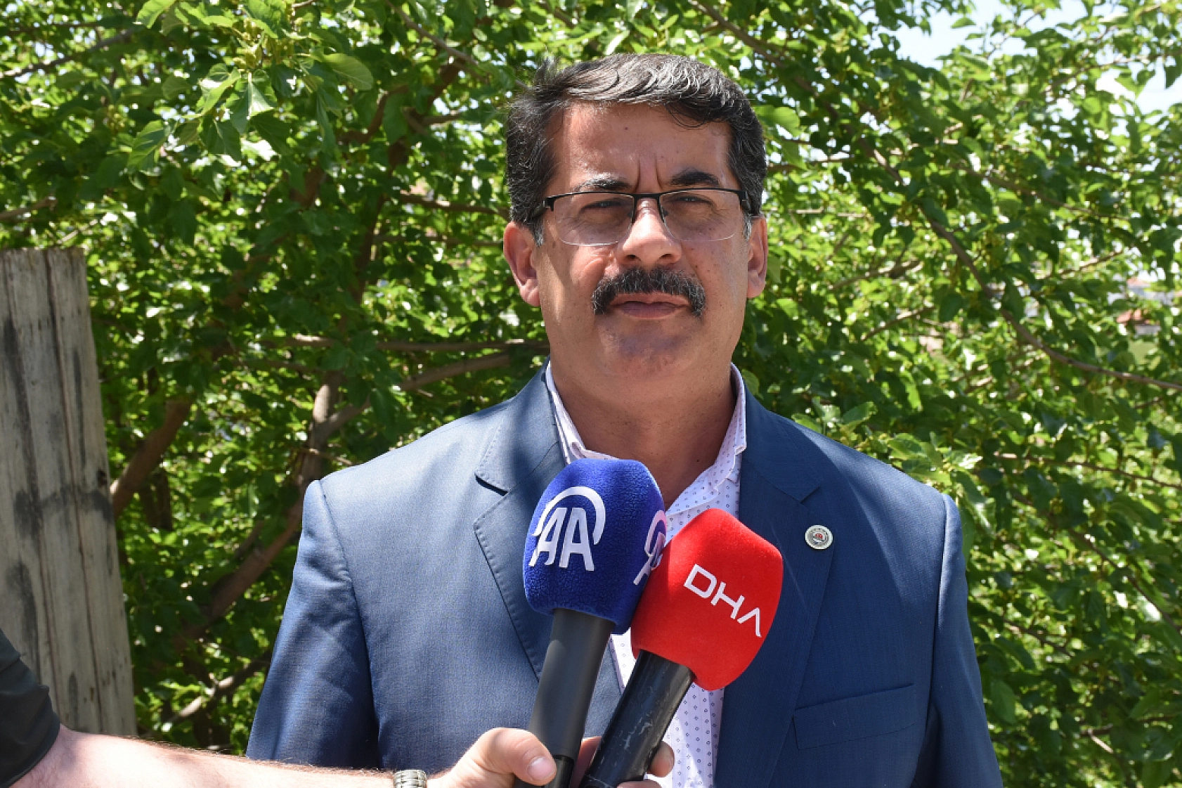 Malatya'da çilek hasadı başladı