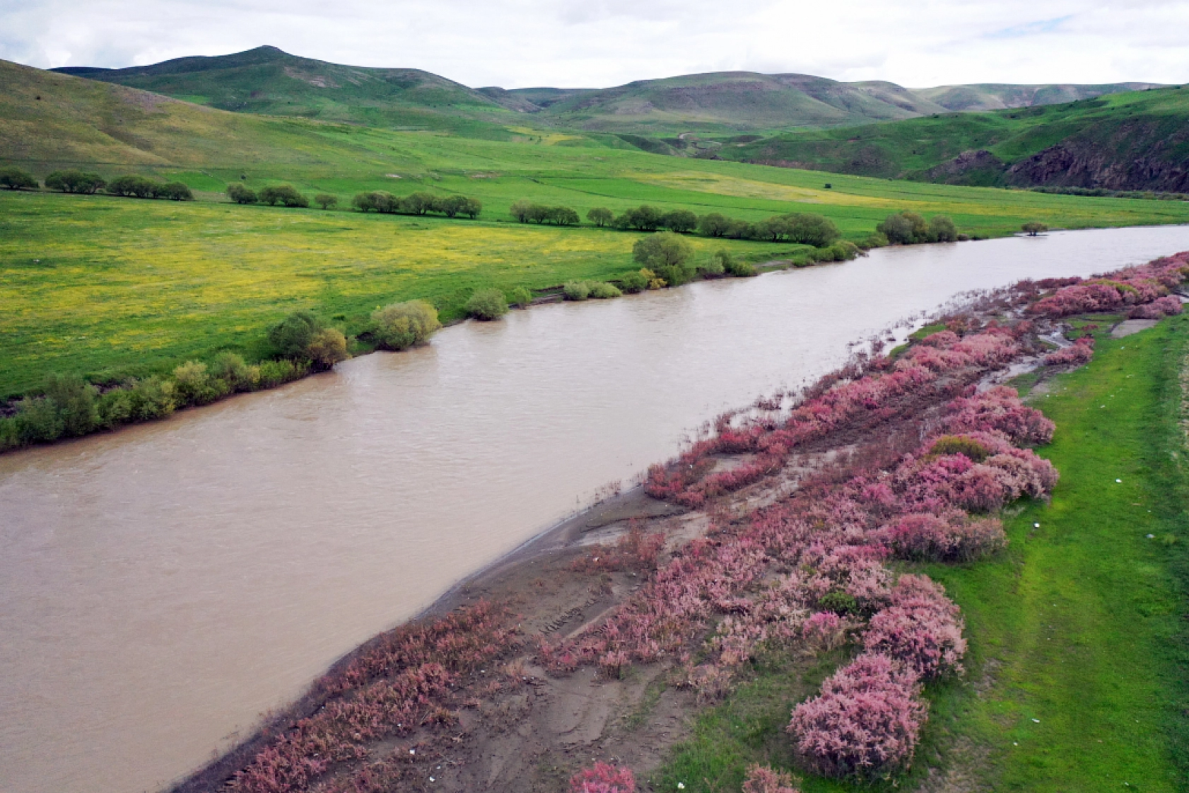 Ağrı bir yandan kış, bir yandan baharı yaşıyor..!