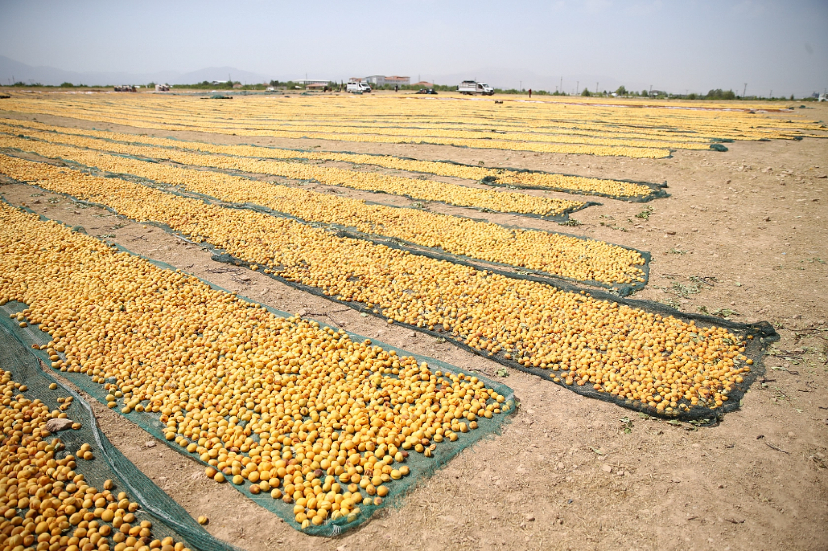 Özel'den Malatyalı Üreticilere Çağrı: 'Sarı Altın'a Zam İçin Işıkları Açın, Kapatın!