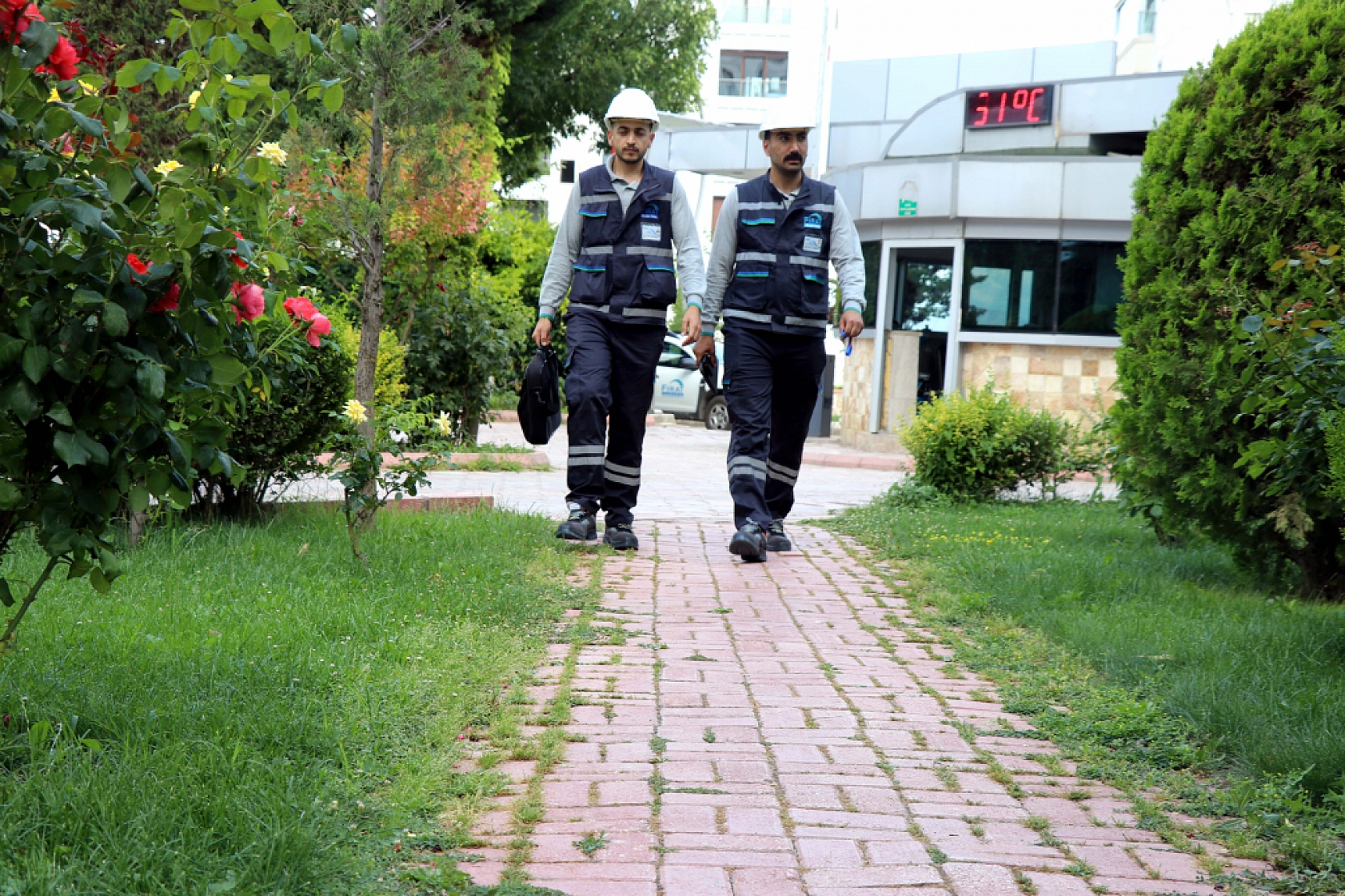 Elazığ, Malatya, Bingöl ve Tunceli'ye... 500 Milyon Lira Kazandırdı!