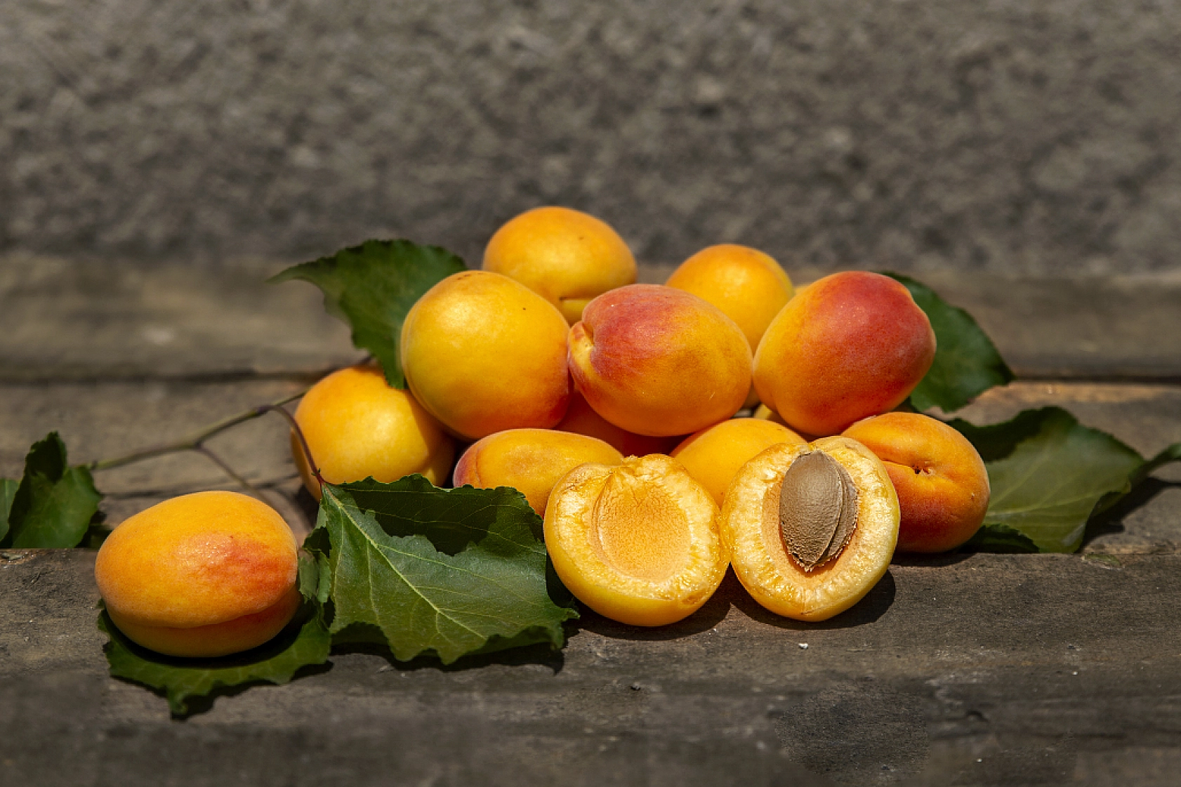Malatya Kayısısı Dünyayı Tatlandırıyor! İşte Kayısının Serüveni!