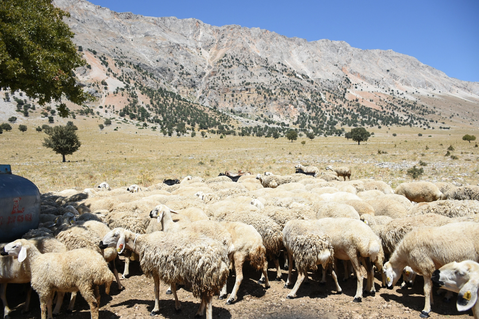 Malatya'da Deprem Sonrası Büyük Hamle: Güçleniyor...