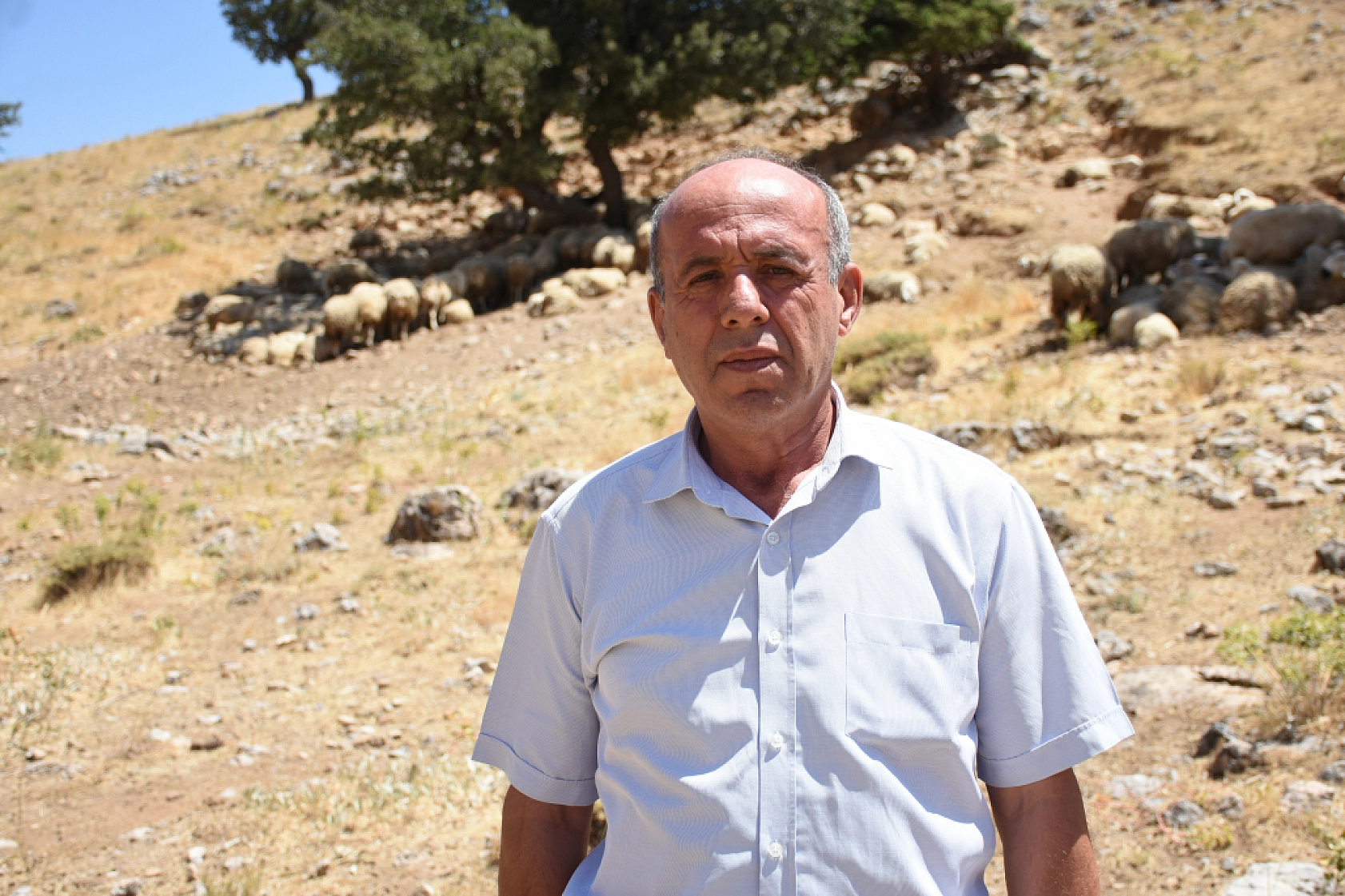 Malatya'da Deprem Sonrası Büyük Hamle: Güçleniyor...