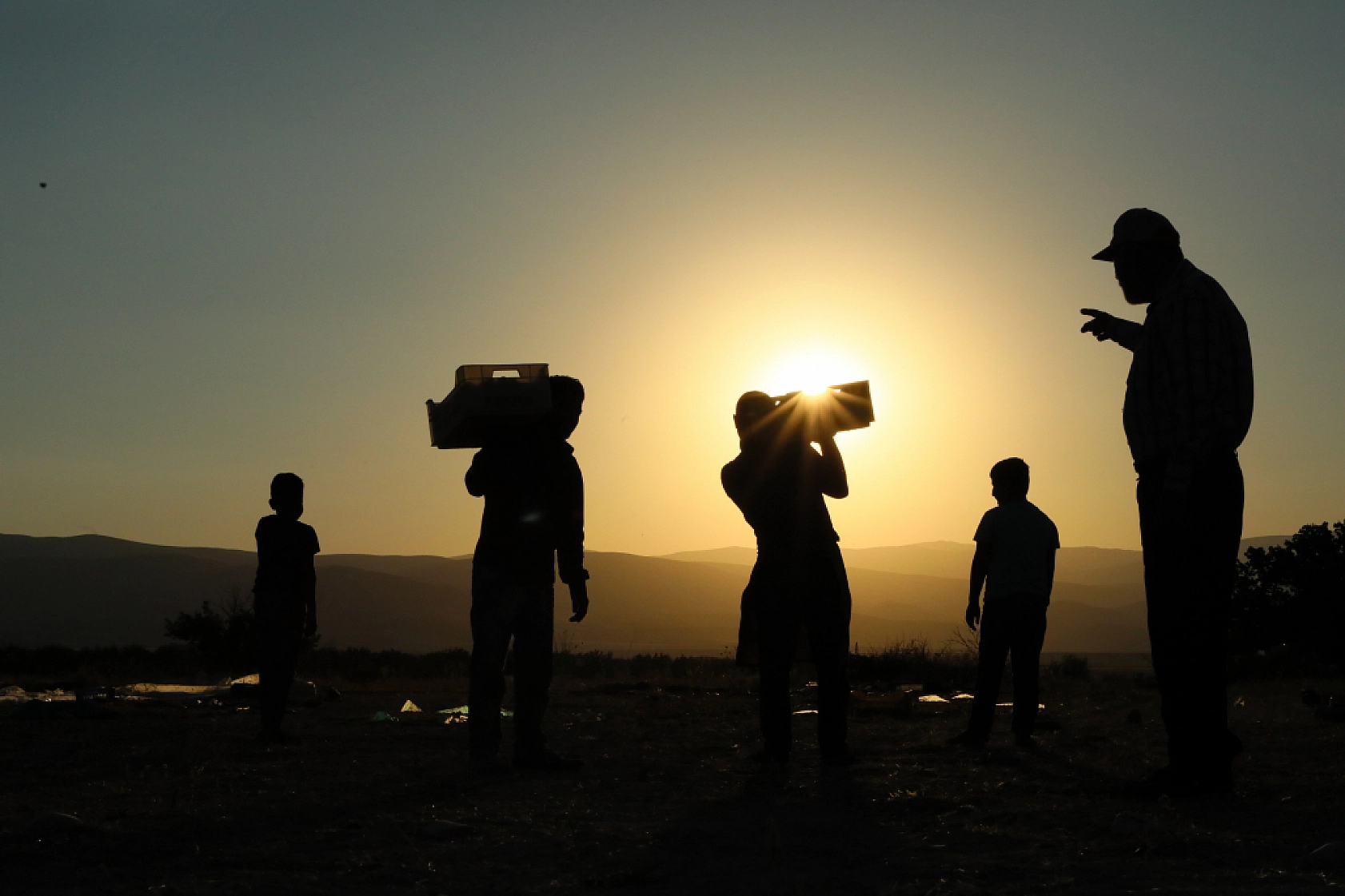 Malatya'nın Tescilli Ürünleri Arasında Yer Alıyor.. Hasat Başladı