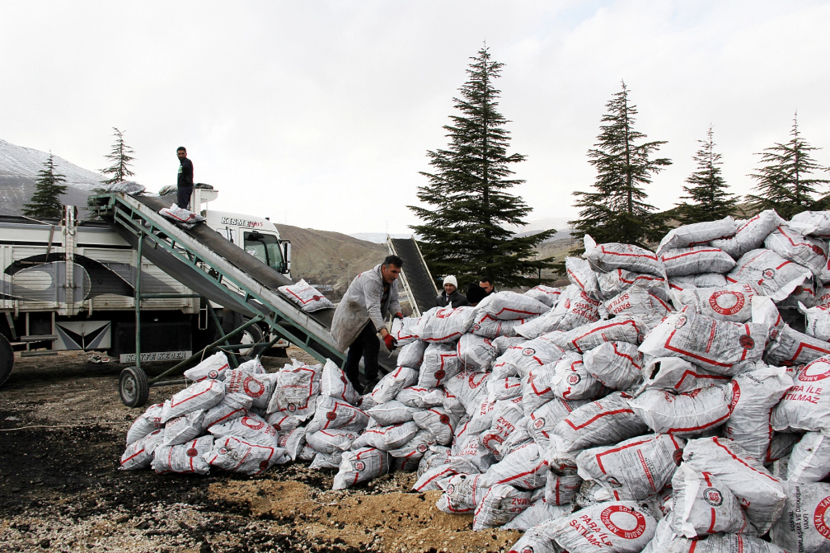 Malatya'da Dağıtılmaya Başlandı! Her Aileye 50'şer Torba Verilecek!