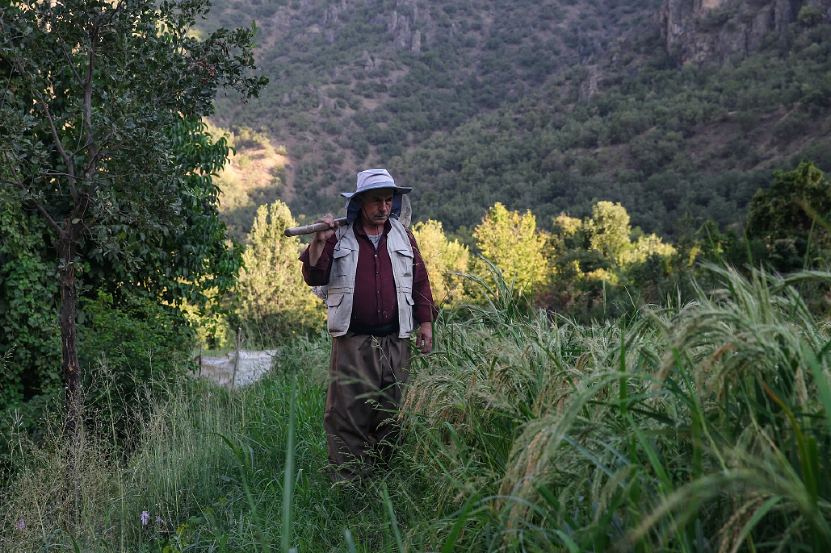 Hasat İçin Ayakta: Çukurcalı Çiftçiler Gece Gündüz Nöbette