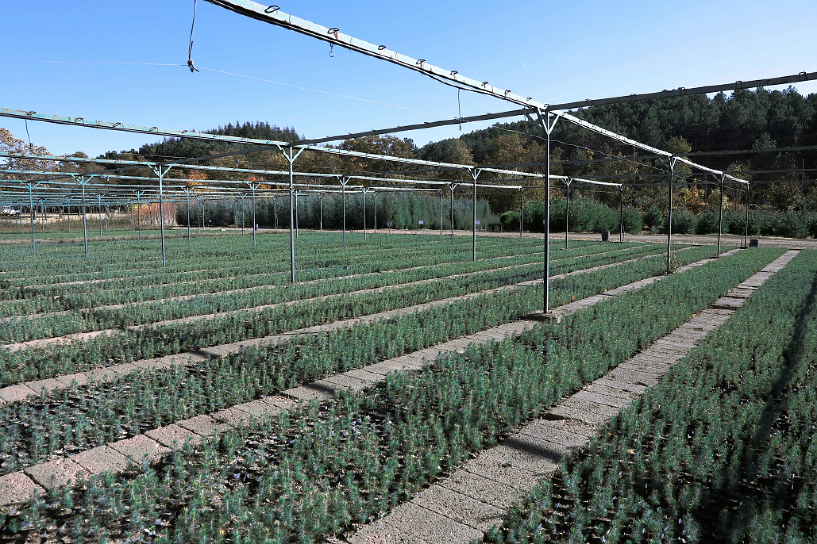 Malatya'da Yeşil Dönüşüm Başlıyor