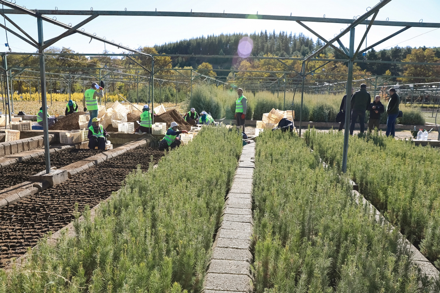 Malatya'da Yeşil Dönüşüm Başlıyor