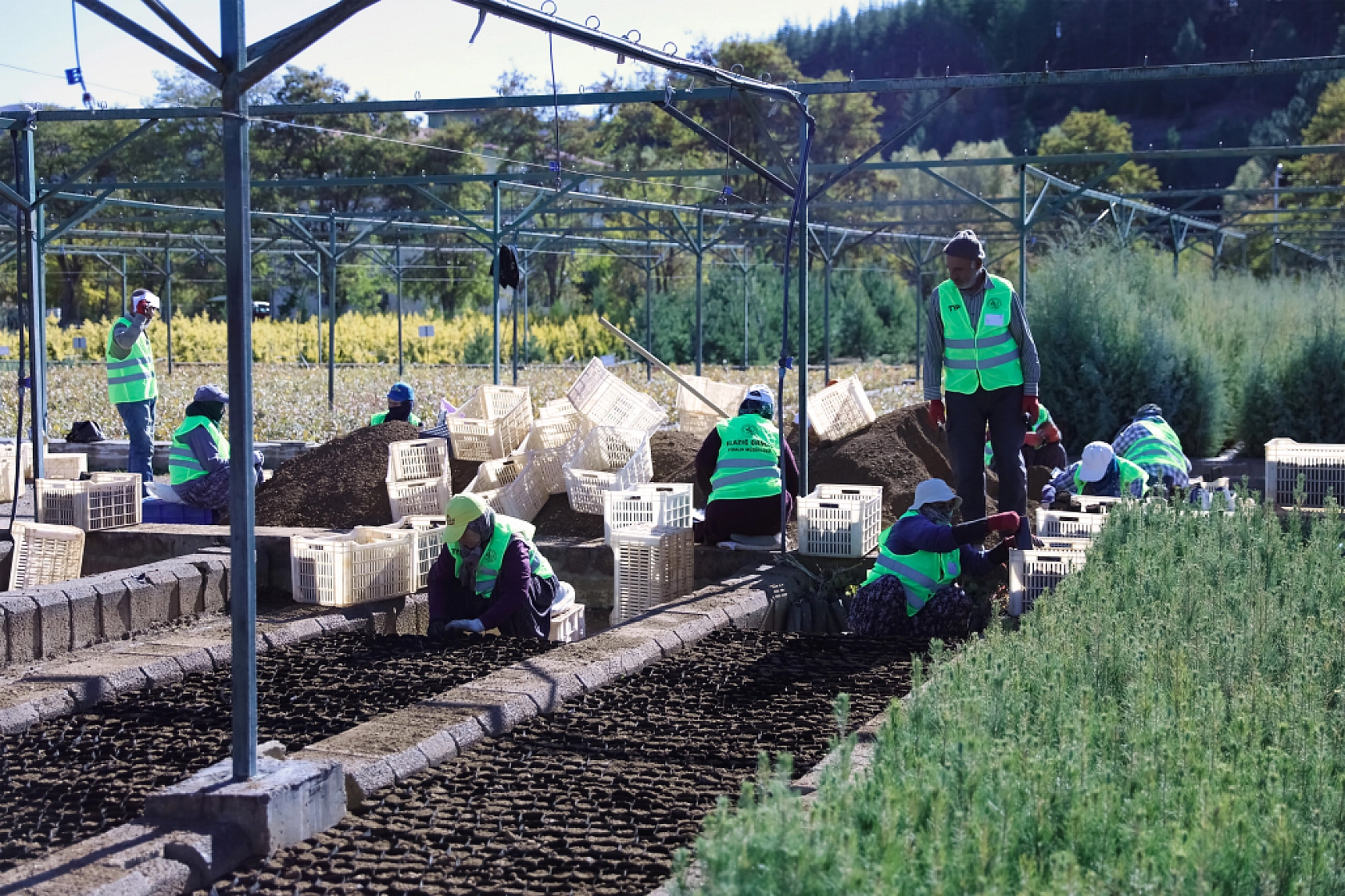 Malatya'da Yeşil Dönüşüm Başlıyor