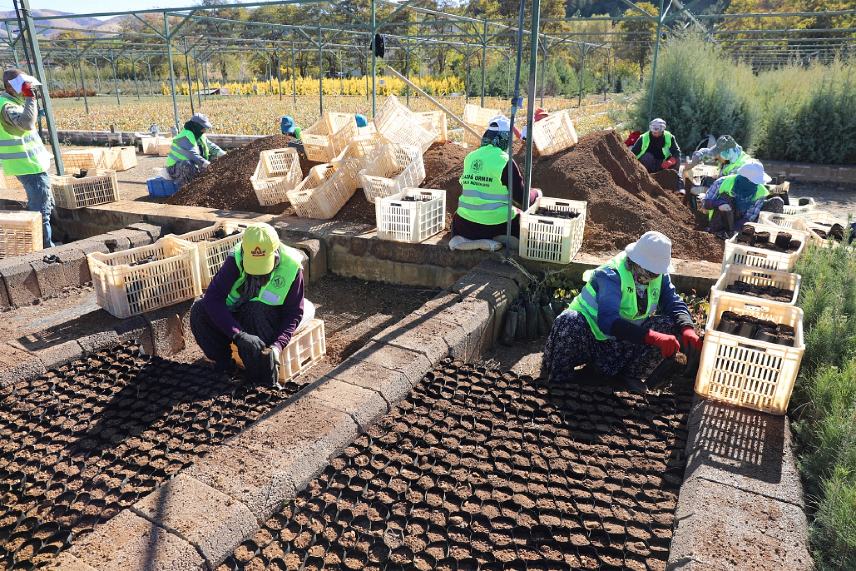 Malatya'da Yeşil Dönüşüm Başlıyor