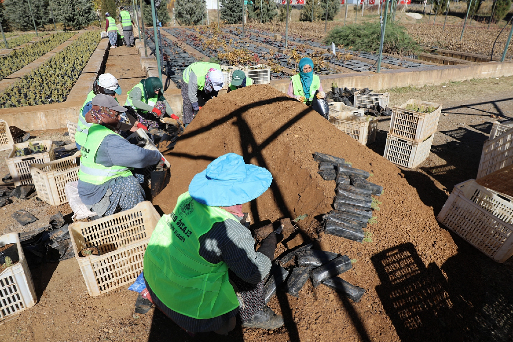 Malatya'da Yeşil Dönüşüm Başlıyor