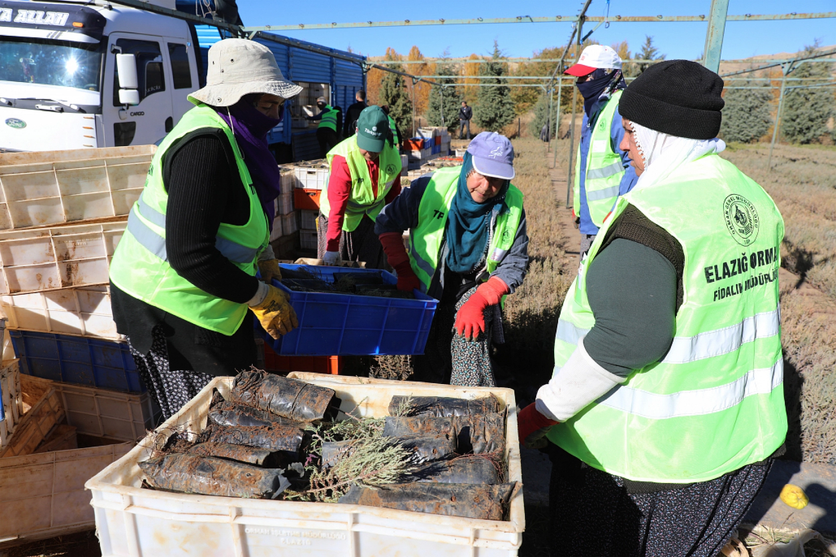 Malatya'da Yeşil Dönüşüm Başlıyor