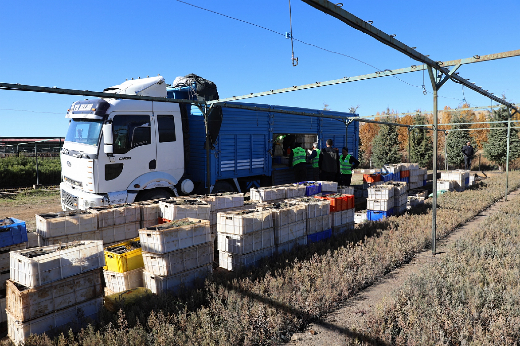 Malatya'da Yeşil Dönüşüm Başlıyor